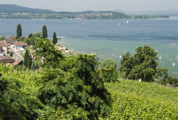 Húsz képeslap a Garda-tó környékéről