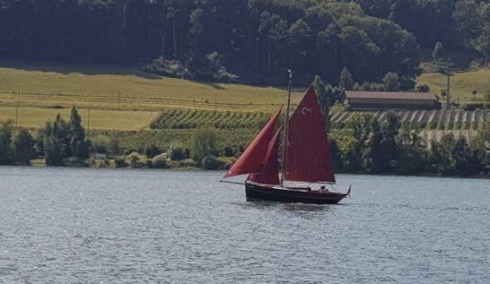 Két hét gazdaggá tett a Bodeni-tó mellett