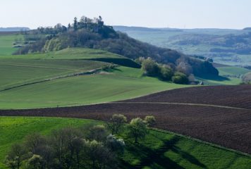 Lelket próbáló helyre invitál Saul fia