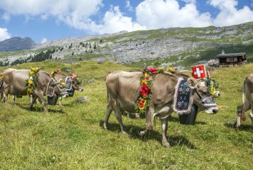 Színjáték vagy tradíció zajlik az Alpokban?