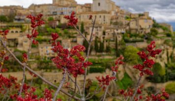 Provence smink nélkül – élvezetek a délfrancia vidéken