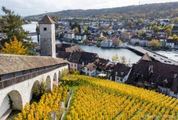 Egy svájci város, ahol az órák mellett tokaji szőlőfajták is teremnek
