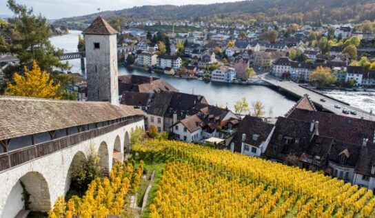 Egy svájci város, ahol az órák mellett tokaji szőlőfajták is teremnek