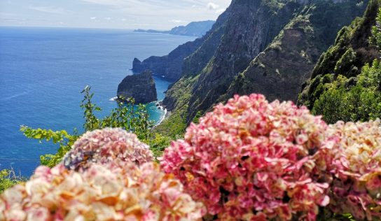 Madeira és a járvány
